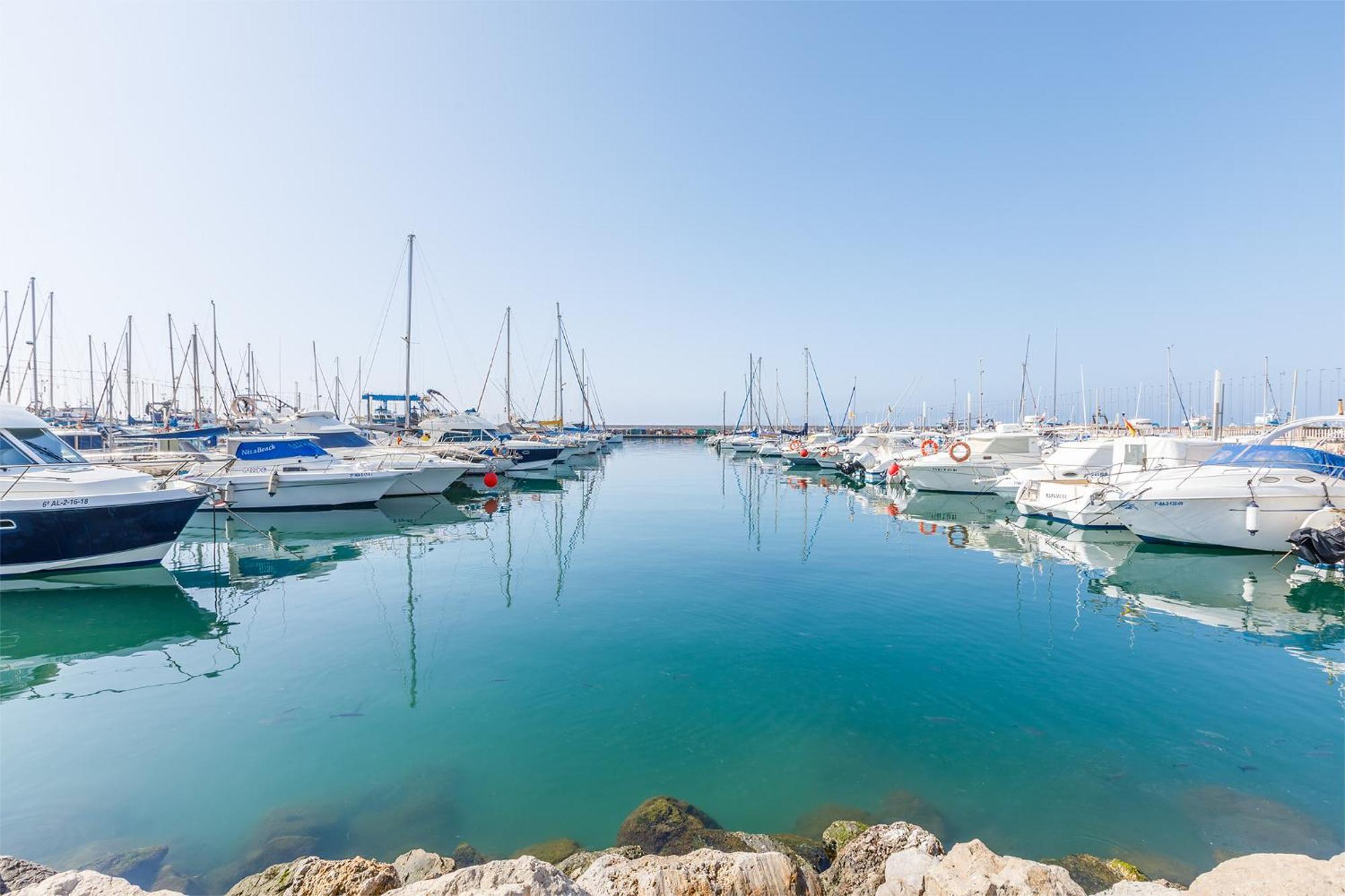 A&N Seaport Caleta Apartment Caleta De Velez Ngoại thất bức ảnh